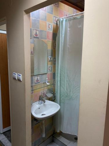 a bathroom with a sink and a shower at Motel Dilijans in Vidin