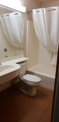 a bathroom with a toilet and a sink and a mirror at Microtel Inn & Suites by Wyndham Wellsville in Wellsville