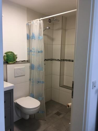 a bathroom with a toilet and a shower at Moderne Wohnung mit Studio in Bauernhausscheune am See in Biersdorf