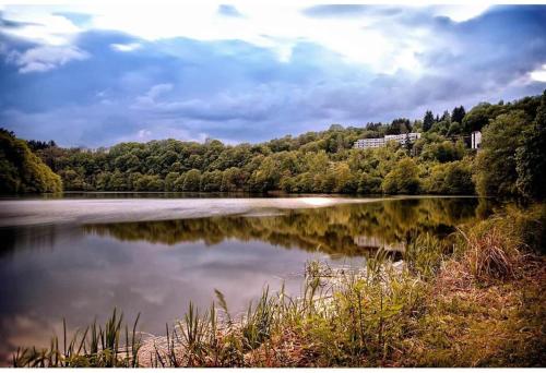 a view of a lake with trees in the background at Moderne Wohnung mit Studio in Bauernhausscheune am See in Biersdorf