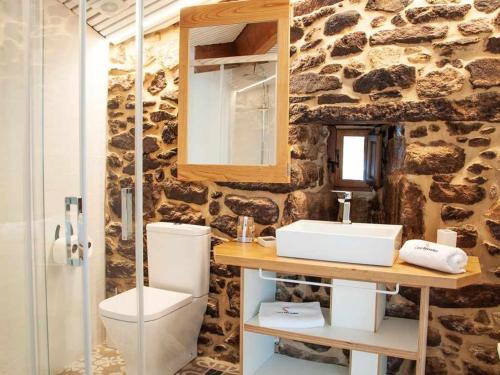 a bathroom with a white toilet and a sink at A Forxa Casa Ferrador Ribeira Sacra in Sober