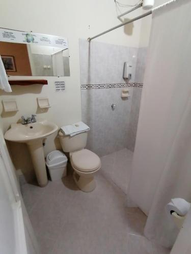 a bathroom with a toilet and a sink and a shower at Balcones del Parque Jardin in Jardin