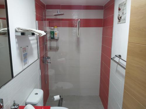 A bathroom at Loft Santa Cruz, Acoran
