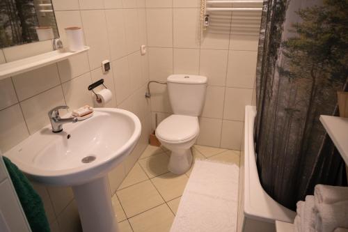 a bathroom with a toilet and a sink at Rzut beretem in Zakopane