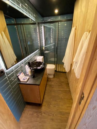 a bathroom with a shower and a sink and a toilet at Casa da Horta in Peso da Régua