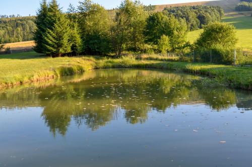a pond with trees in the middle of a field at Domki - Noclegi Pod Ostrym Działem in Ustrzyki Dolne