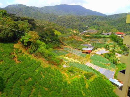 Paesaggio naturale nelle vicinanze dell'appartamento