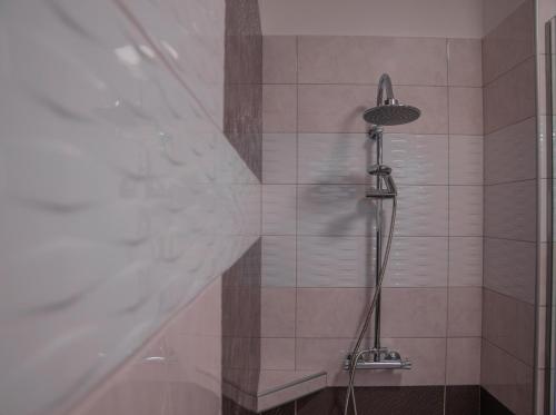 a shower with a shower head in a bathroom at Oros House Apartmanház in Orosháza