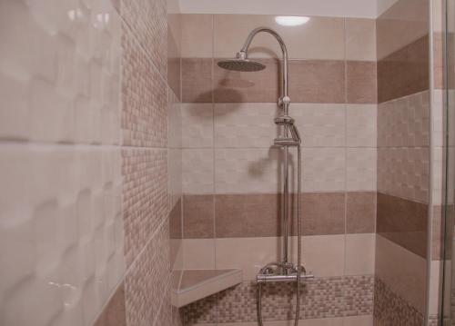 a shower with a shower head in a bathroom at Oros House Apartmanház in Orosháza