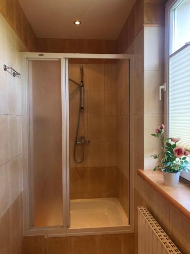 a shower with a glass enclosure in a bathroom at Łapacz Snów II in Tylicz