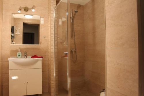 a bathroom with a shower with a sink and a toilet at Green garden apartment in Szeged