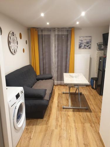 un salon avec un canapé et une machine à laver dans l'établissement Le 67,ski et randonnée,lave linge,sèche linge,wifi,parking gratuit, à Bernex