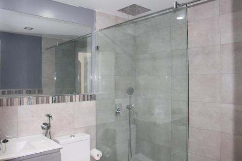 a bathroom with a shower and a toilet and a sink at Farilaga Apartments in San Bartolomé