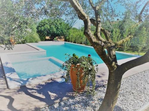 House Gordana for 6-8 persons with NEW Jacuzzi and swimming pool