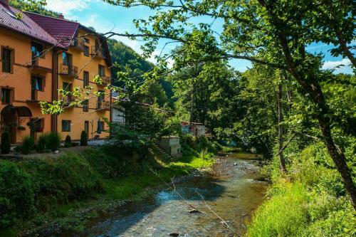 rzeka w wiosce obok budynku w obiekcie Apartments in Polyana w mieście Polyana (Polana)