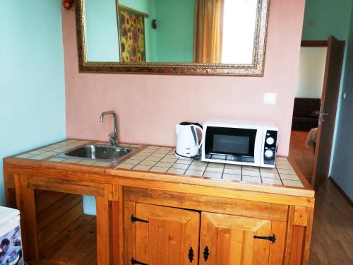Кухня или мини-кухня в Guest House Misha
