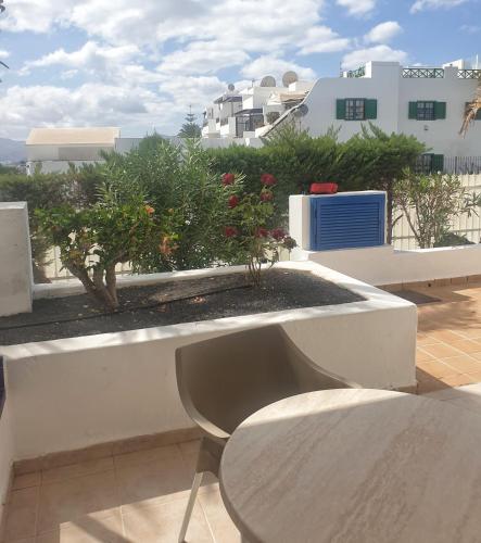 a planter with a tree on top of a building at Grupotel Cinco Plazas in Puerto del Carmen