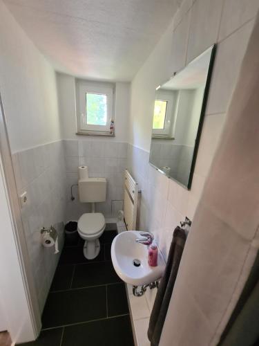 a small bathroom with a toilet and a sink at Appartement Am Süllberg in Munster im Heidekreis