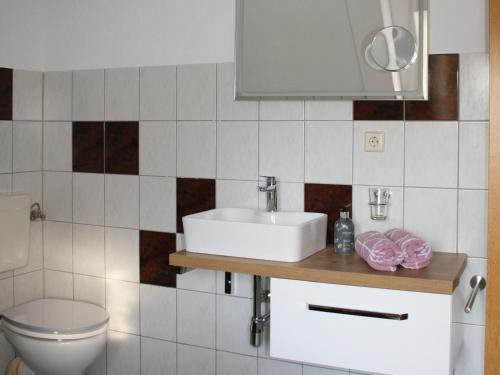 a bathroom with a sink and a toilet at Zu den grauen Ziegenböcken in Serba