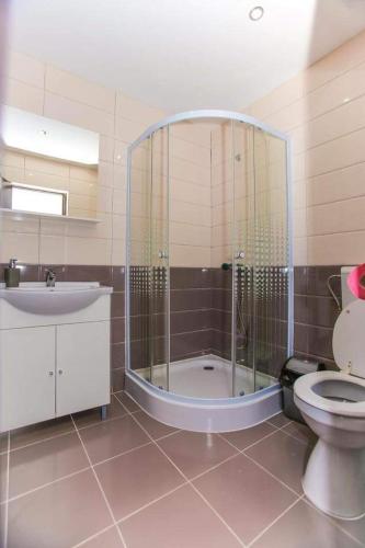 a bathroom with a shower and a toilet and a sink at La Păstrăvărie in Mehadia