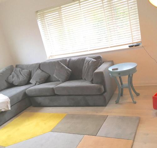 a grey couch in a living room with a window at Apartment 61 in Wetherby