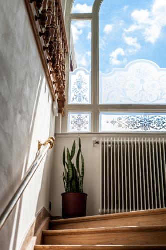 a staircase with a window and a potted plant at B'Guest Sleep & Retreat in Bruges