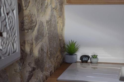 um quarto com uma parede de pedra e uma janela com vasos de plantas em Gîte Le Pilat em Vernoux-en-Vivarais