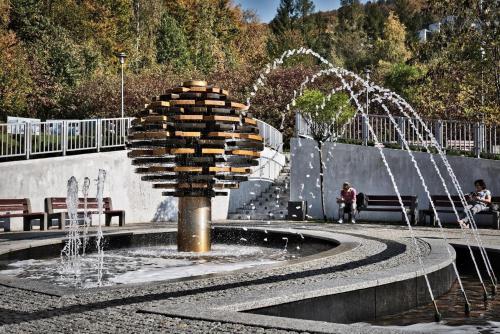 a fountain with water fountains in a park at Siedem Życzeń in Ustroń