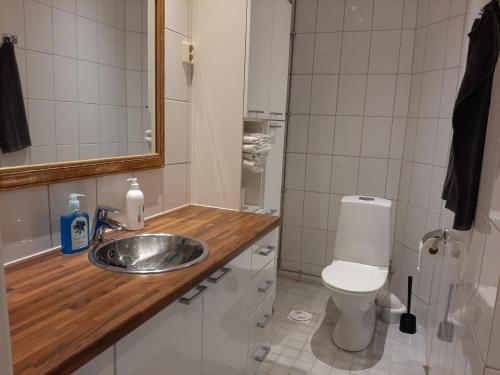 a bathroom with a sink and a toilet at Go Happy Home Vilhonkatu 9. Stylish home in the heart of the city centrer in Helsinki