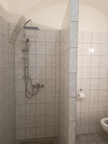Kúpeľňa v ubytovaní Apartmany 123