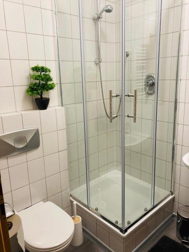 a bathroom with a shower and a toilet at Pension Boulevard in Waldsassen