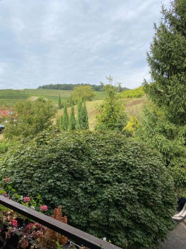 Foto dalla galleria di Landhotel Traube a Baden-Baden