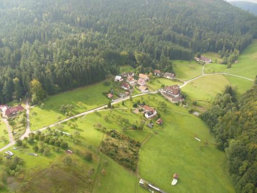 Příroda nedaleko hotelu