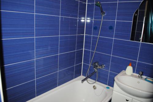 ヴォルシスキーにあるНаСуточки Апартаменты на Пушкина-Химиковの青いタイル張りのバスルーム(シャワー、トイレ付)