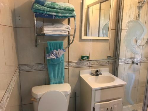 a small bathroom with a toilet and a sink at Trailer Beach Front Cottage in Savaneta