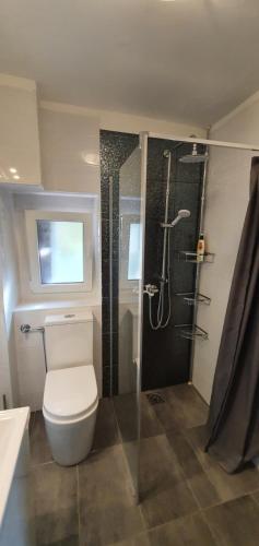 a bathroom with a toilet and a glass shower at Heritage Apartments Trumbić in Split