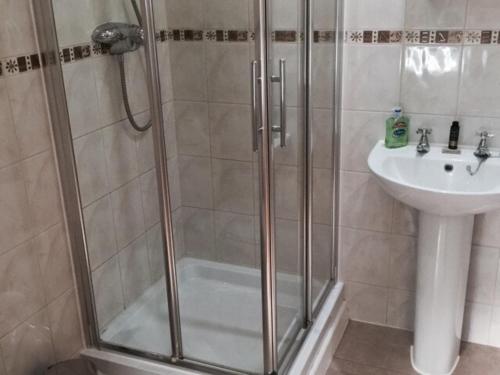 a bathroom with a shower and a sink at Woodpaddock Bed & Breakfast in March