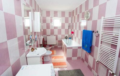 Casa Prundari Nicu și Mirela في Poiana Teiului: حمام وردي وبيض مع مرحاض ومغسلة