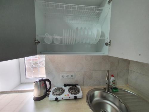 encimera de cocina con fregadero y microondas en Central Park Apartment, en Chişinău