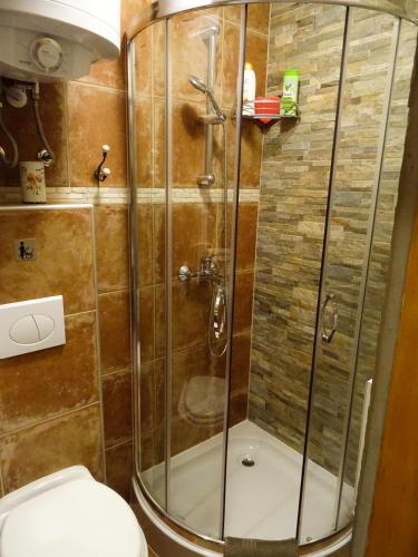 a bathroom with a shower and a toilet at Wooden Cottage in Jesenice