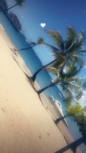a view of a beach with palm trees and the ocean at Villa les Palmiers in Les Trois-Îlets
