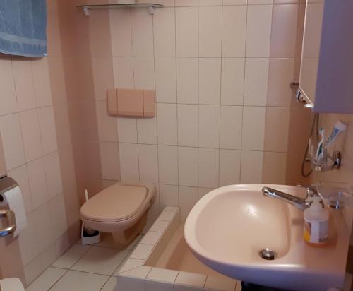 a bathroom with a toilet and a sink at Panorama A23 Fitzi - Ferienwohnung für 1-2 Personen in Flims
