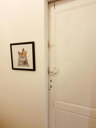une photo d'un chat sur un mur à côté d'une porte dans l'établissement Superbe Appartement de 50m2, à Graulhet