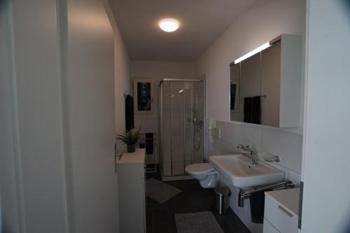 a bathroom with a sink and a toilet and a shower at Clasgieri - 3-Zimmer-Ferienwohnung für 4 - 6 Personen, 65m2 in Falera