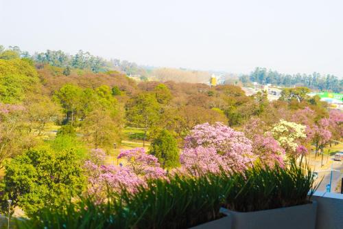 Blick auf einen Park mit Bäumen und rosa Blumen in der Unterkunft Garden Park Hotel in San Miguel de Tucumán