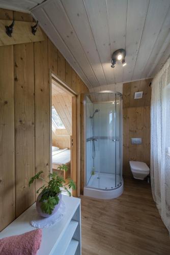a bathroom with a glass shower and a toilet at Beskidzka Ostoja in Koszarawa
