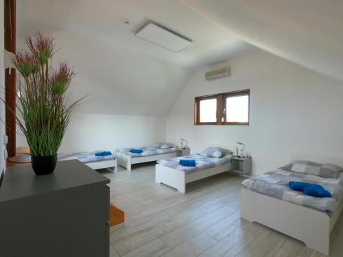 a living room with two beds and a couch at Die Göttinger Ferienwohnung, alt trifft modern! in Göttingen
