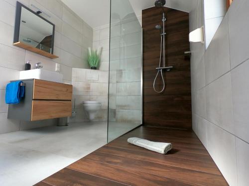 a bathroom with a shower and a sink and a toilet at Die Göttinger Ferienwohnung, alt trifft modern! in Göttingen