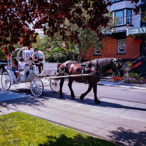 a horse pulling a carriage with a group of people at James Bay Inn Hotel, Suites & Cottage in Victoria