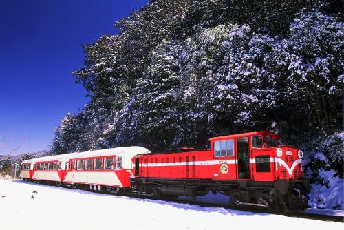 Gallery image of Alishan Shermuh Tourist Hotel in Zhongzheng